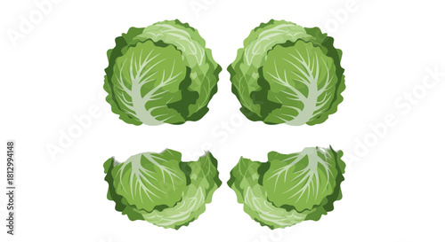 Freshly Cropped And Arranged Vibrant Cabbage Heads With Dynamic Contrast On Black
