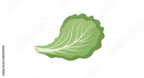 Fresh Lettuce Leaf With Artistic Lines on Solid Black Background Composition