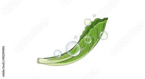 Fresh Lettuce Leaf With Sparkling Water Bubbles Against a Dark Background