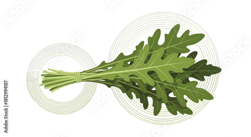 Freshly Gathered Arugula Design Surrounded by Geometric Abstract Decorations
