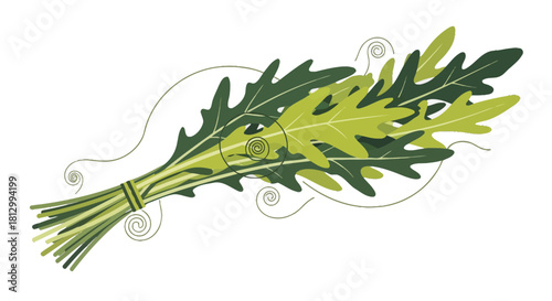 Freshly Gathered Arugula Plant In Illustration Style Against a Dark Background