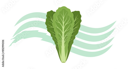 Fresh Lettuce Leaves Design In Front Of Abstract Decorative Background Black.Green