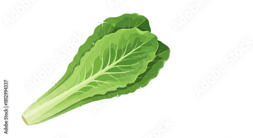 Fresh Lettuce Leaves Illustration With Sparkling Elements Against a Black Background