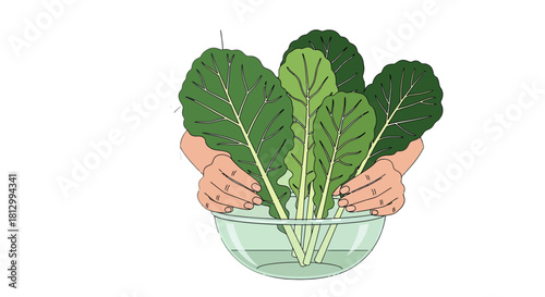 Freshly Harvested Greens Held In A Clear Glass Bowl On A Black Background