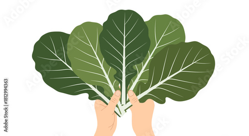 Freshly Harvested Greens Held in Hands, Celebrating Natural Nourishment and Vitality