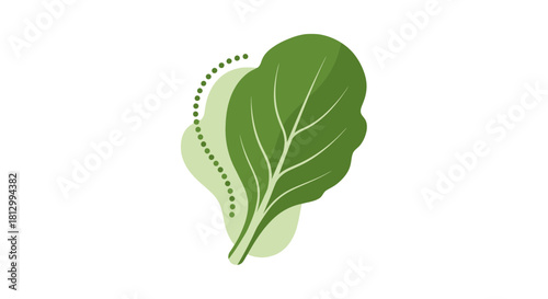 Fresh Lettuce Leaves on Black Background with Stylized Veins Illustration