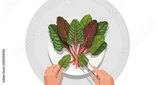 Freshly Harvested Swiss Chard Presented Beautifully On A White Plate For Consumption