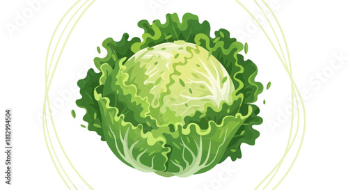 Freshly Picked Cabbage Illustration With Contrasting Black Background and Artistic Embellishments