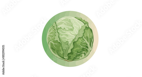 Freshly Picked Cabbage Illustration in Green Circle Fresh And Unique Imagery