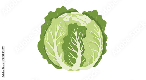 Freshly Picked Cabbage Isolated Against a Black Backdrop, Artistic Vegetable