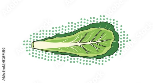 Fresh Lettuce Rendered on Black Background with Decorative Artistic Edging