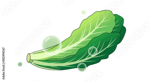 Fresh Lettuce Sprinkled With Sparkling Bubbles On a Dark Background Illustration