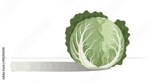 Freshly Picked Cabbage Resting On a Surface Against a Dark, Dramatic Backdrop