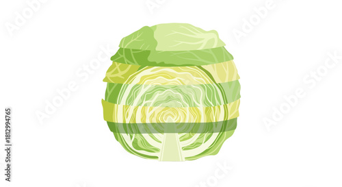 Freshly Sliced Cabbage Isolated Against a Black Backdrop: Culinary Harmony