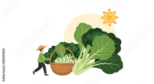 Fresh Produce Farmer Harvesting Vegetables Under The Sunshine And Bright Sky