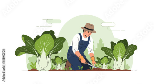 Gardener Cultivating Fresh Bok Choy in His Garden With Urban Silhouette Backdrop