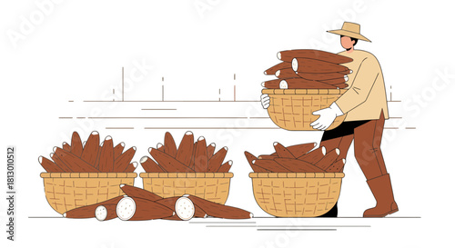 Harvesting Cassava: An Illustration of Agricultural Production and Labor Activity
