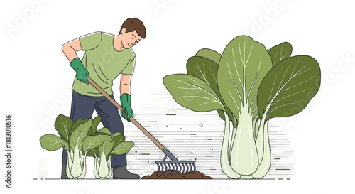 Gardener Cultivating Fresh Bok Choy in an Organized Manner With Planting Tools