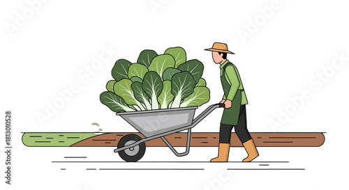 Harvesting Gardener Pushing Wheelbarrow Full Of Freshly Grown Lettuce Vegetables