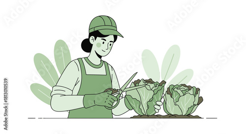 Gardener Cutting Fresh Cabbage in a Botanical Garden with Green Tones for Harvest