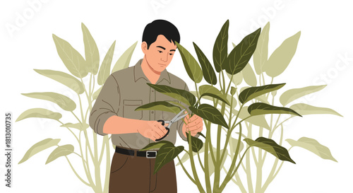 Gardener Pruning Lush Green Plants With Scissors On Black Backdrop