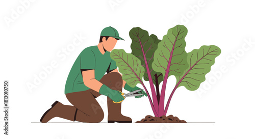 Gardener Trimming Plant Leaves With Scissors In An Illustrated Style Depiction