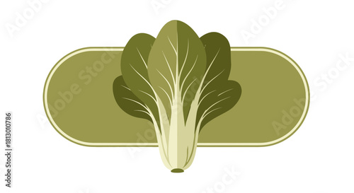 Healthy Bok Choy Design on Olive Oval with Minimalist Artistic Green Tones Concept