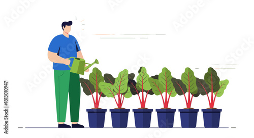 Gardener Watering Vibrant Plants in a Row, Nurturing Organic Food Production