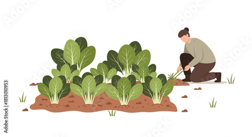 Gardening Woman Tending Young Garden Plants and Nurturing Natural Growth in Farmland Field