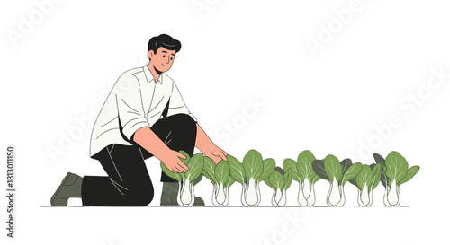 Healthy Farmer Harvesting Fresh Bok Choy Crops on Black Background Illustration