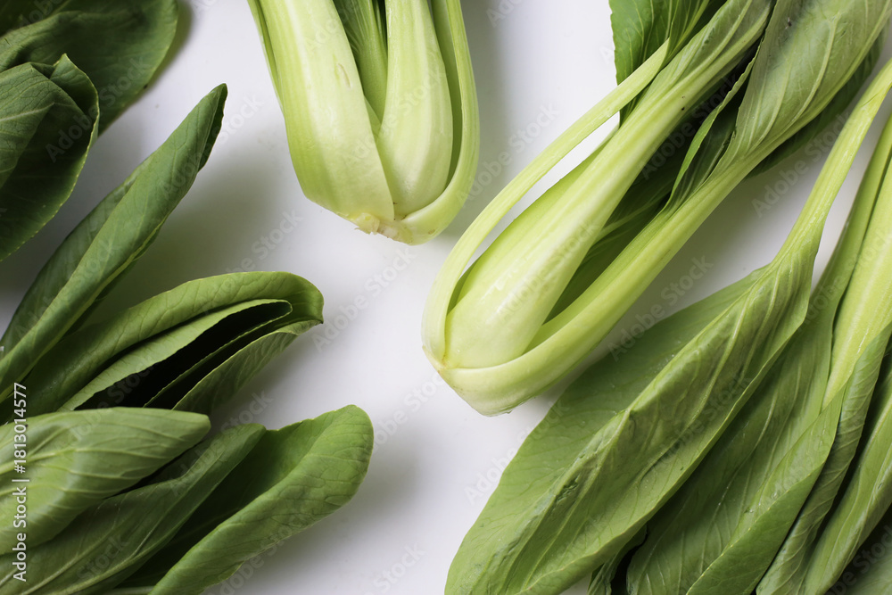 Fototapeta premium Fresh bok choy on white background.