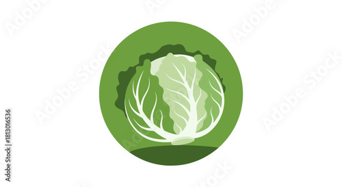 Healthy Vibrant Cabbage: Fresh, Natural, and Delicious Healthy Food Concept Illustration