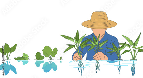 Hydroponic Garden: A Farmer Nurturing Greenery Through Innovative Cultivation Techniques