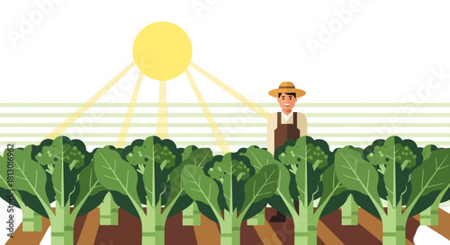 Illustration Of A Happy Farmer In His Broccoli Field Under Bright Sunlight