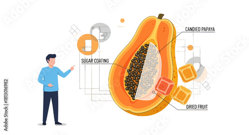 Illustration Of A Man Explaining Papaya Fruit Anatomy On Black Background