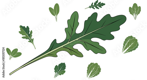 Illustration Of Arugula Leaves With Various Smaller Greens Designs On Black Background