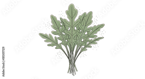 Illustration Of Arugula Plant In Elegant Design With Green Leaves Against Dark Background