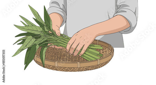 Illustration Of Person Handling Fresh Water Spinach In A Woven Basket