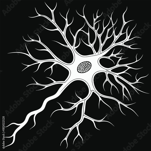White Neuron Cell Illustration on Black Background