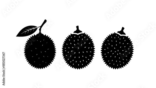 Vector illustration of set of three black silhouette icons representing spiky tropical fruit like rambutan or lychee isolated on transparent background