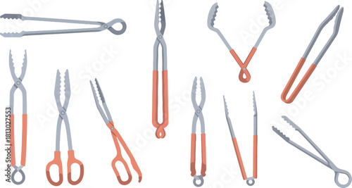 Assorted Surgical Forceps and Clamps Set in Professional Medical Tools Collection