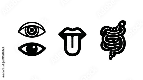 Human Anatomy Vector Icons Set: Open and closed eye, mouth with tongue, and intestines. Outline graphic symbols.
