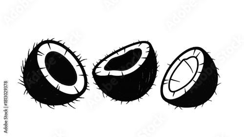 Vector illustration of hand drawn black and white sketch illustration of three coconut halves isolated on transparent background 