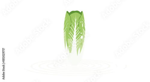 Minimalist Bok Choy Abstract Design Against Black Background, Artistic Depiction