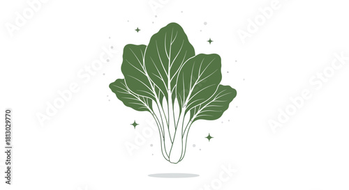 Minimalist Botanical Illustration Of Green Leaves Against a Black Background Display