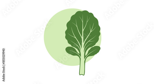 Minimalist Leafy Green Plant Illustration Against a Circular Shape on a Dark Backdrop