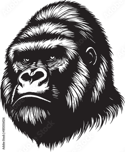 silhouette of gorilla