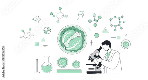 Scientific Investigation of Green Cabbage Analysis With Microscopic Examination