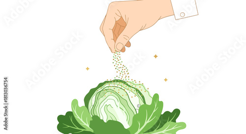 Seasoning A Cabbage, Green Leaves Illustration With Hand Sprinkling Ingredients