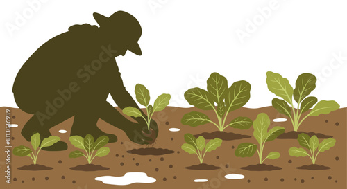 Silhouette Of Gardener Planting Seedlings In Cultivated Earth Cultivating A New Crop In Darkness